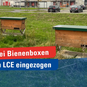 LCE - zwei Bienenboxen von Stadtbienen eingezogen